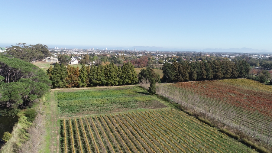 5 Bedroom Property for Sale in Stellenbosch Farms Western Cape
